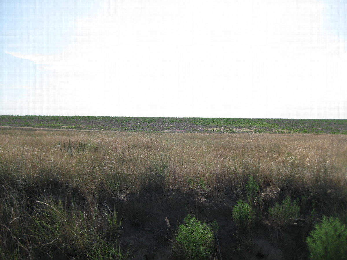 View to the east