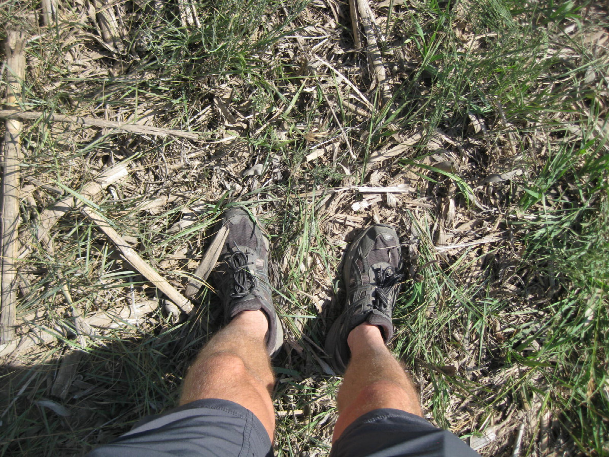 Ground cover