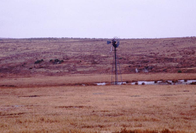 Looking south from the confluence at a windmill