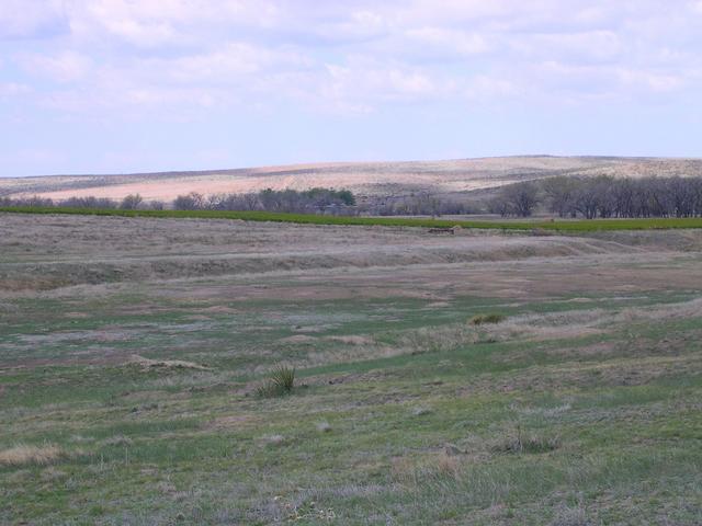 Looking west