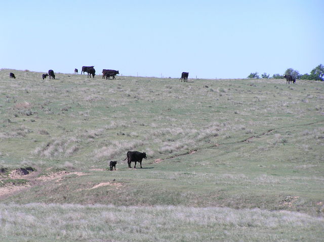 View to the southeast from the confluence.