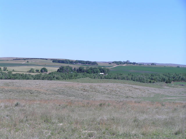 Starting point for the confluence trek, looking north about 500 meters north of the confluence.