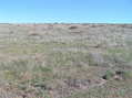 #2: View to the north from the confluence.  The view to the east is nearly identical.