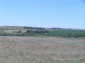 #8: Starting point for the confluence trek, looking north about 500 meters north of the confluence.