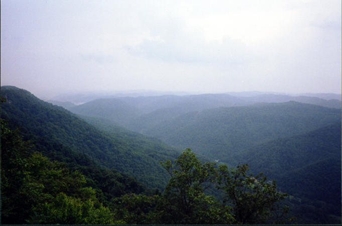 The view from above on Pine Mountain. The confluence is located on the bench above the creek at left center of the photo.