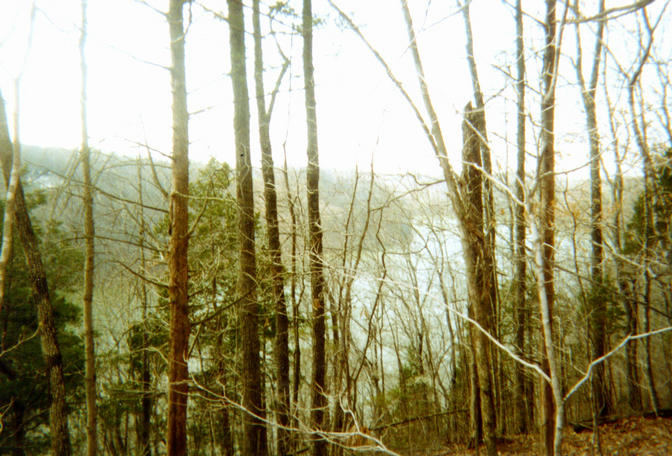 Looking North from the Confluence