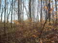 #3: CP Looking East