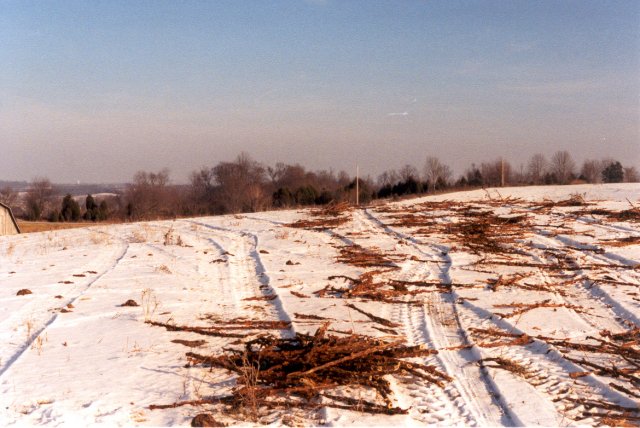 Looking east from the confluence