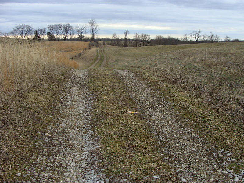 View to the south along the farm lane, beyond the confluence gate