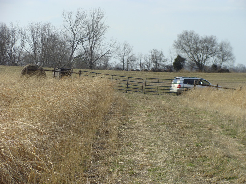 The walk west, back to the car from 37N 86W