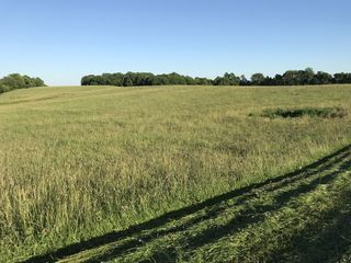 #1: Confluence of 37 North 86 West, in mid-distance, on slope left of the sinkhole, looking southeast.