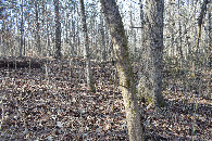 #3: South view