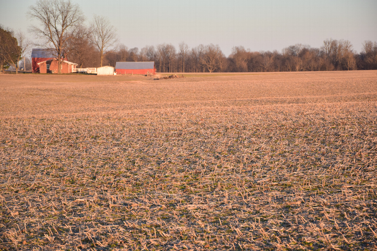 Typical farm in this area