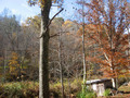 #6: View from the road.  Confluence is atop the ridge in the background.