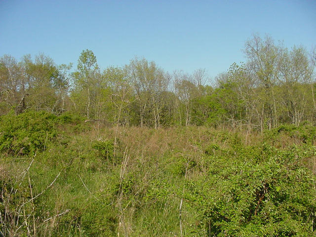 Photo of confluence