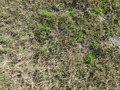 #7: Ground Zero