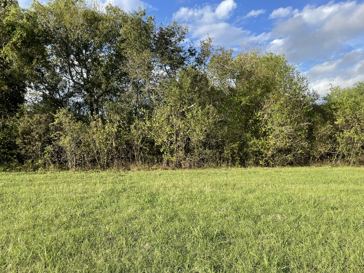 View to the north from the confluence