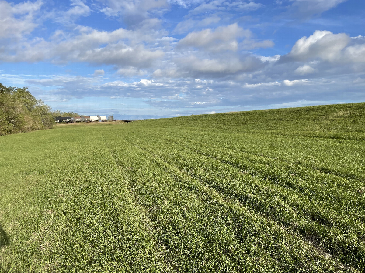 View to the east from the confluence