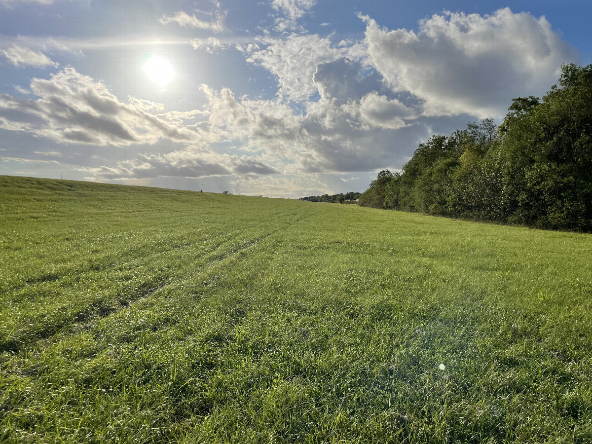 View to the west from the confluence