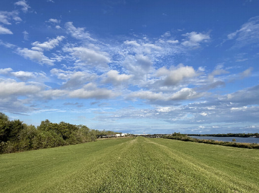 #1: Looking east, confluence in the grass in the left foreground