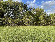 #5: View to the north from the confluence