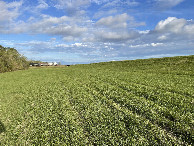#6: View to the east from the confluence