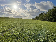 #8: View to the west from the confluence