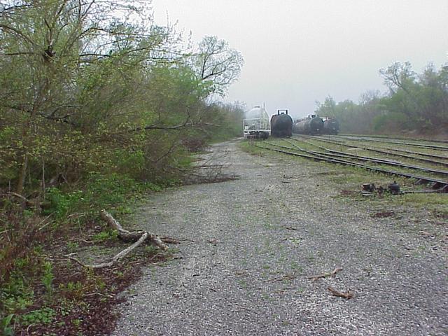 View to the west from the confluence site.