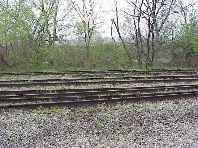 View to the north from the confluence site.