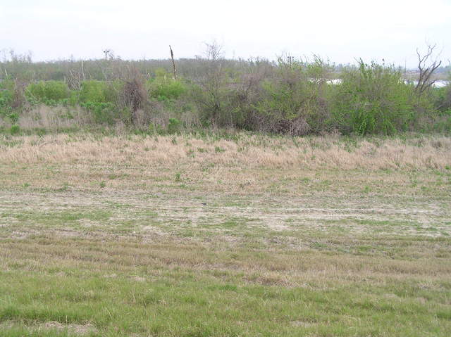 The confluence of 30 North 90 West, down the slope from the levee, about 6 meters shy of the marsh, looking north.