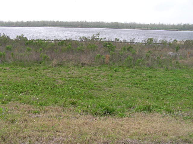 View to the south from the levee:  The Intracoastal Waterway.