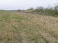 #9: View to the west from the confluence.