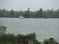 #6: Tuesday afternoon traffic on a rainy Intra-coastal Waterway.