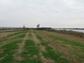#2: Looking East from the top of the levee