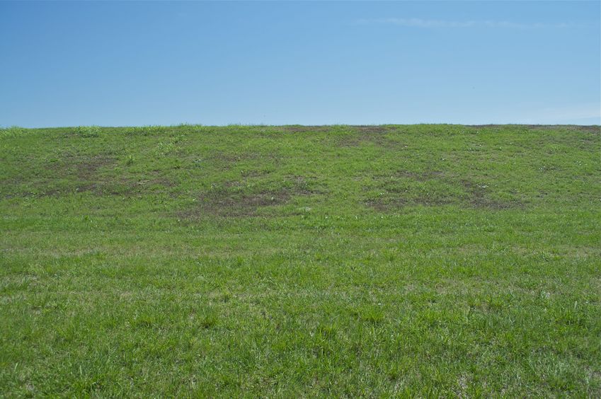 View South (towards the levee)