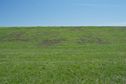 #4: View South (towards the levee)