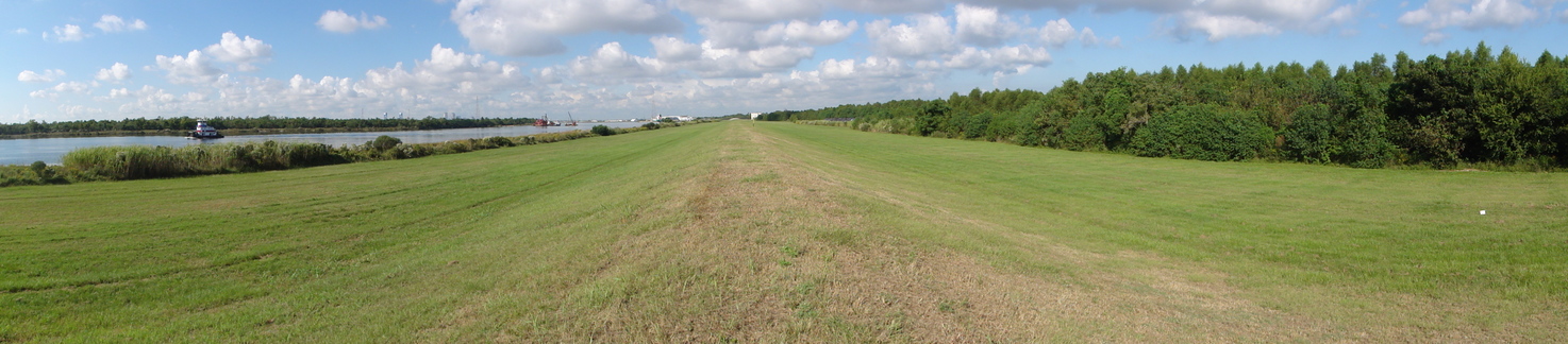 Panoramic view from the top of the levee (CP on the extreme right)