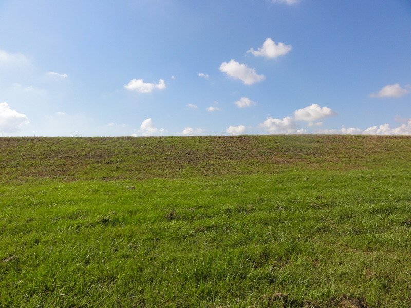 South view