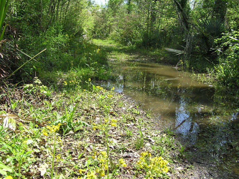 View to the south from the confluence.