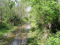 #4: View to the north from the confluence.