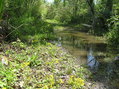 #5: View to the south from the confluence.