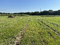 #4: View to the south from the confluence. 