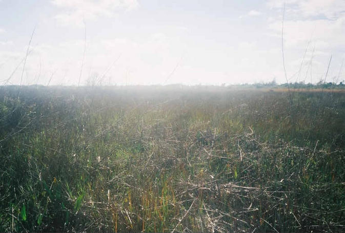 Looking South from the confluence