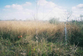 #1: Looking East at the confluence