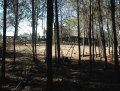 #2: Facing North