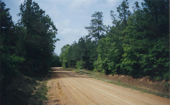 Looking north up Wyant Rd. from 100 yards west of the point.