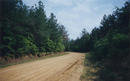 #5: Looking south down Wyant Rd. from the same place.