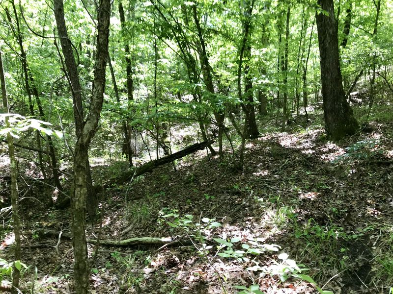 View to the east from the confluence.