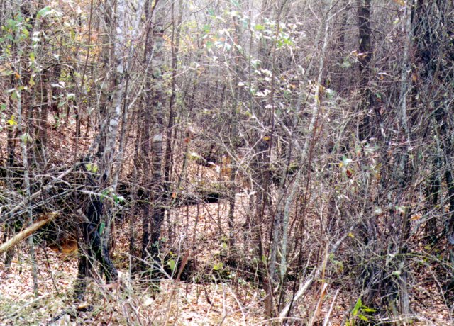 Within 200 feet of the spot, facing South.