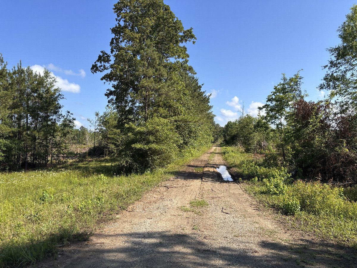 North-south track providing access to the confluence, just east of the confluence.